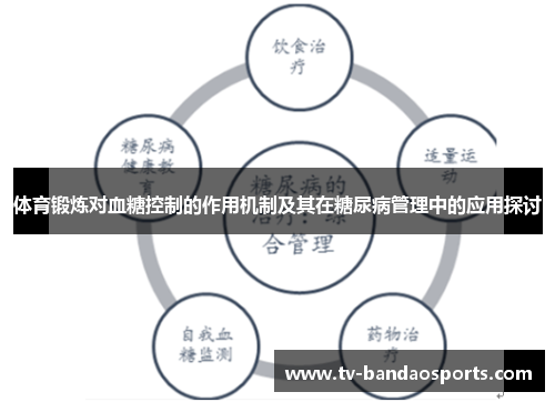 体育锻炼对血糖控制的作用机制及其在糖尿病管理中的应用探讨